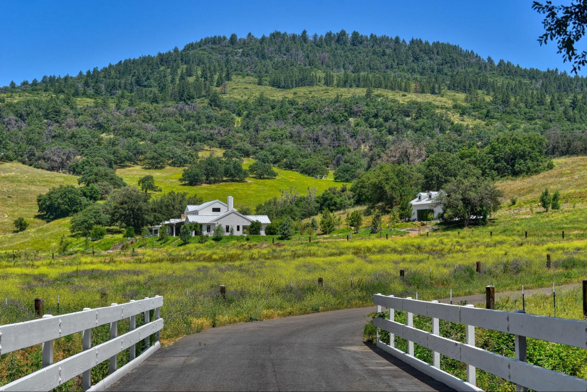 Ranch | Vision – Red Cloud Ranch